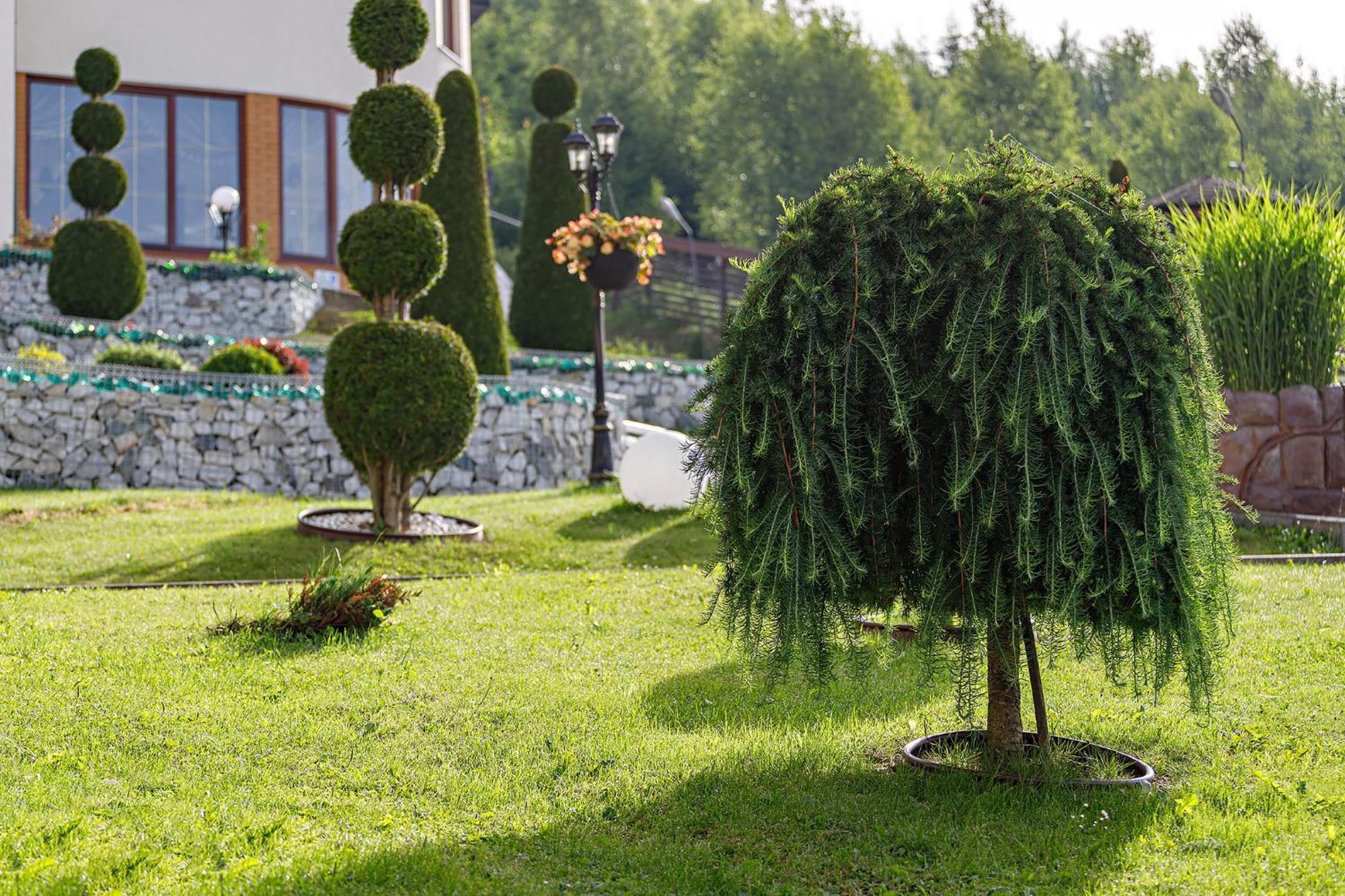 Hotel Podgorie Spa Bukovel Dış mekan fotoğraf